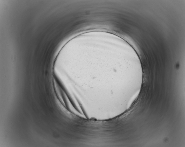 X0000100401532200807032001