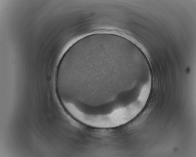 X0000100401533200807032001