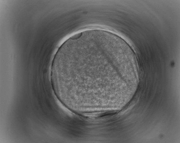 X0000100401535200807032001