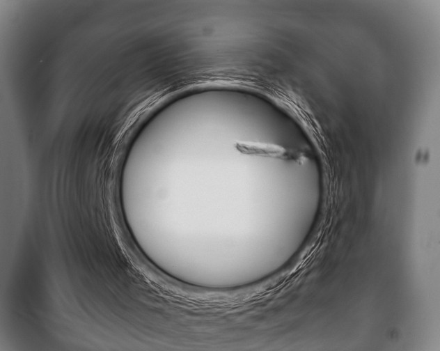 X0000100410001200806060936