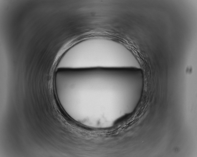 X0000100410004200806060936