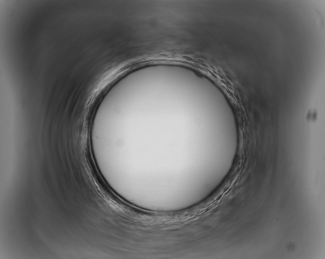 X0000100410005200806060936