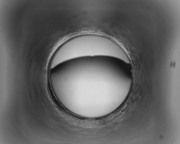 X0000100410008200806060936