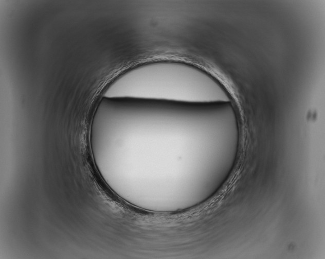 X0000100410009200806060936