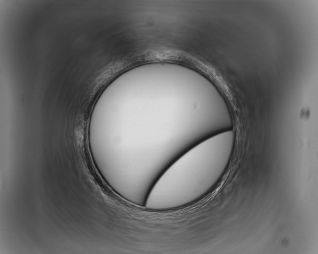 X0000100410010200806060936