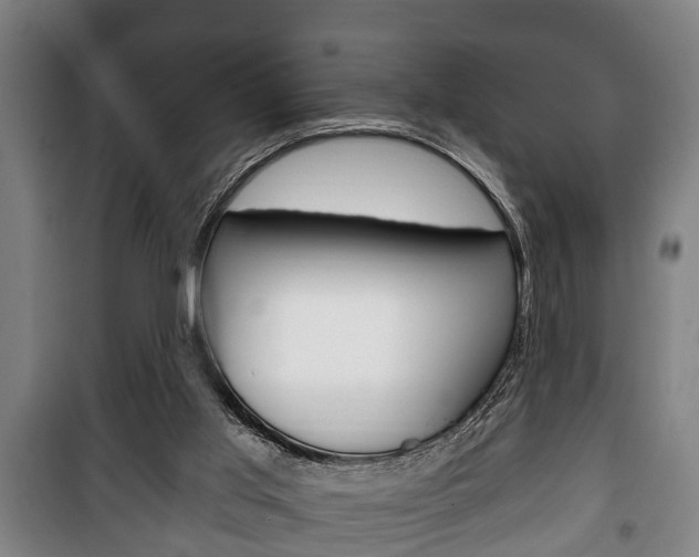 X0000100410013200806060936