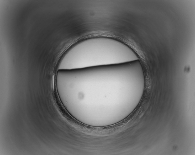 X0000100410014200806060936