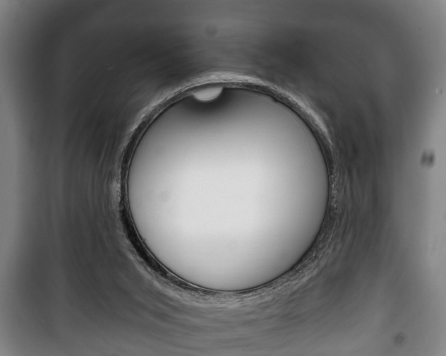 X0000100410015200806060935