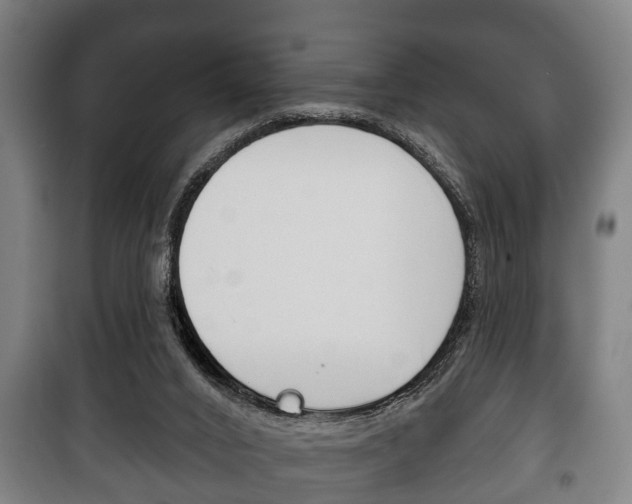 X0000100410016200806060935