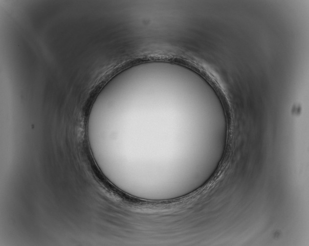 X0000100410017200806060935