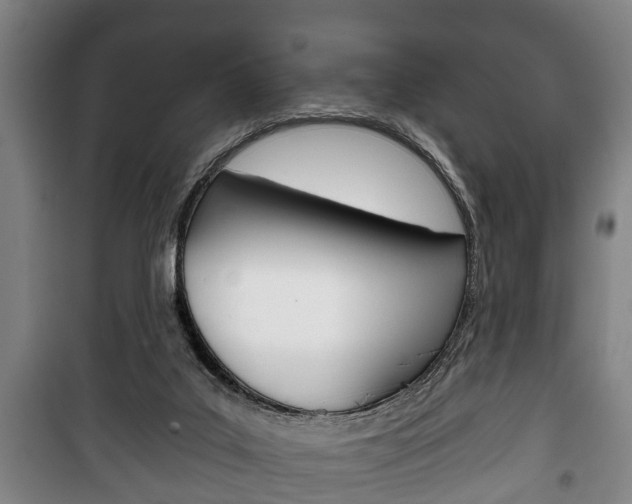X0000100410019200806060935