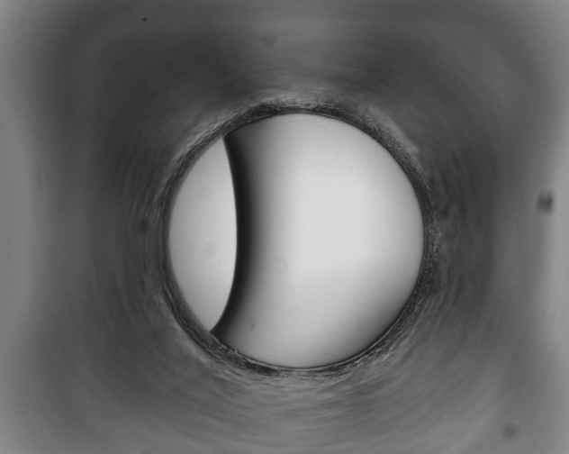 X0000100410020200806060935