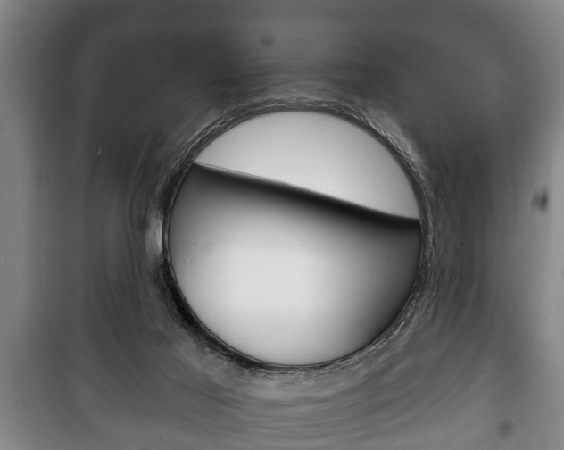 X0000100410021200806060935