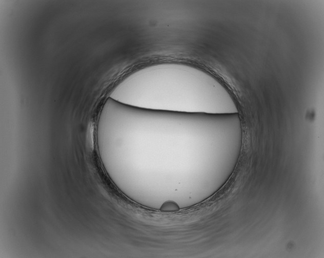 X0000100410022200806060935