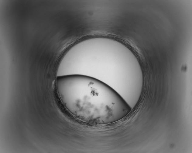 X0000100410024200806060935