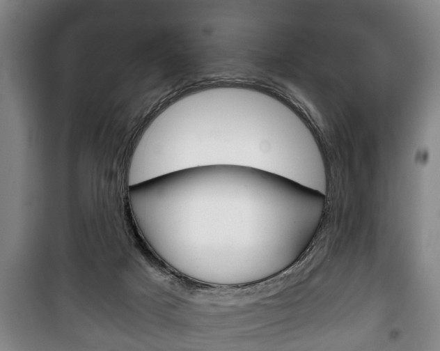 X0000100410025200806060935