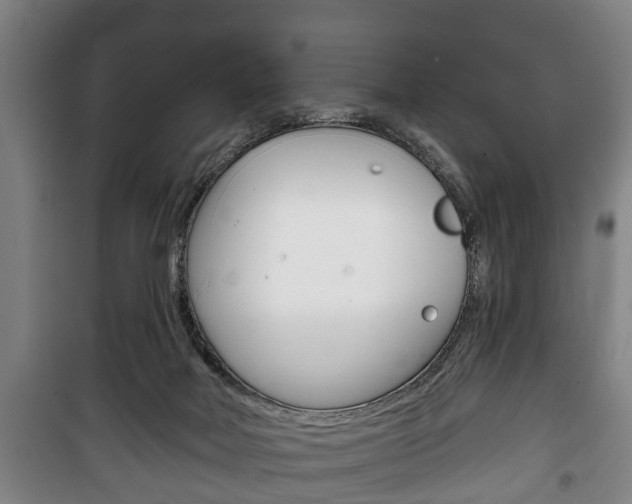 X0000100410026200806060935