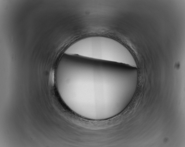 X0000100410027200806060935
