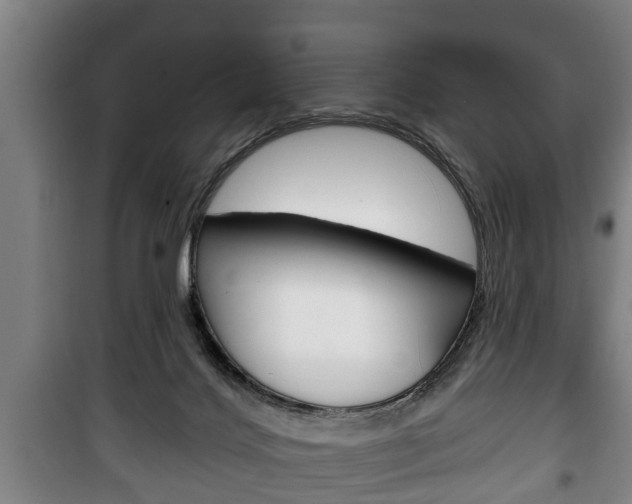 X0000100410028200806060935