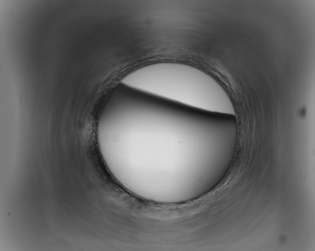 X0000100410029200806060935