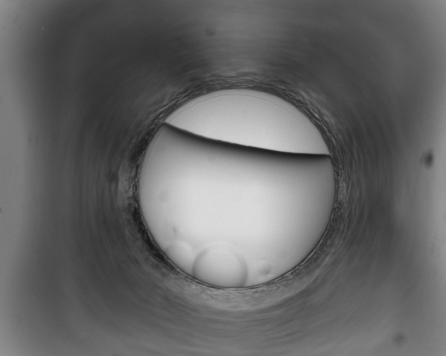 X0000100410030200806060935