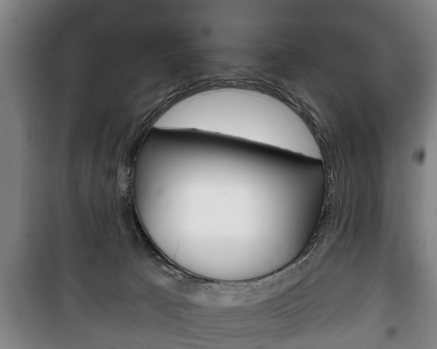 X0000100410033200806060935