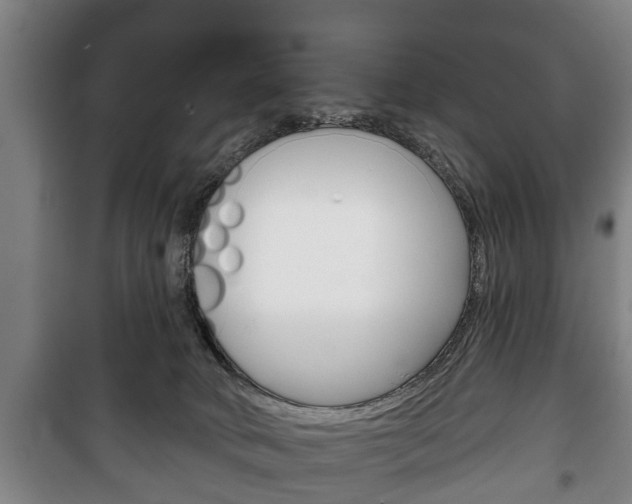 X0000100410034200806060935