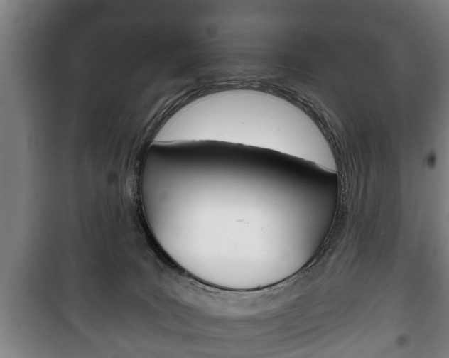 X0000100410035200806060935
