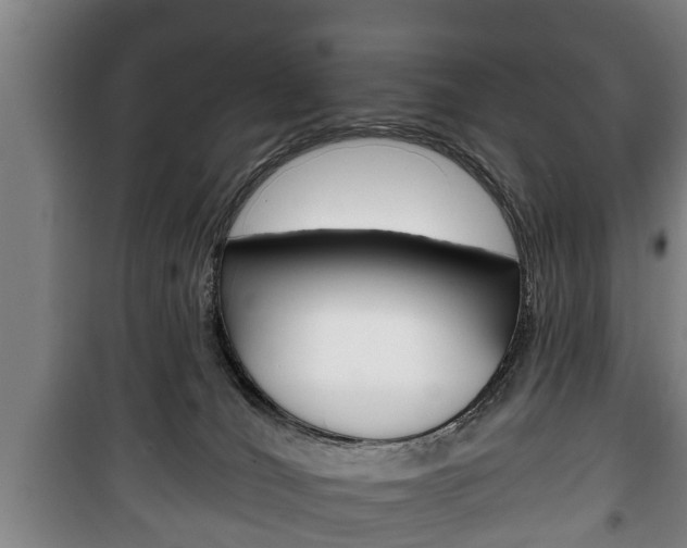 X0000100410036200806060935