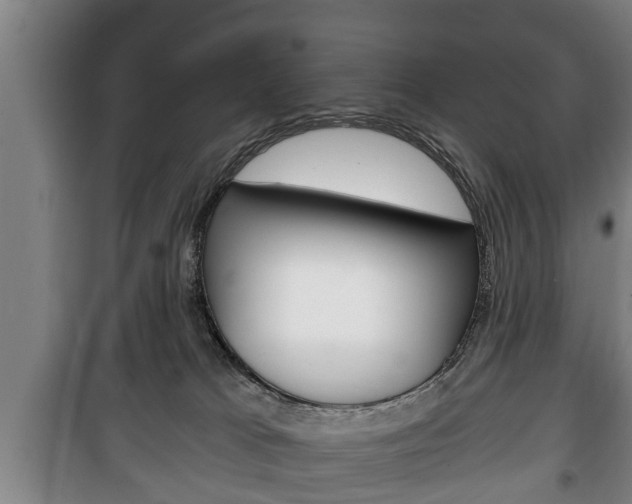 X0000100410037200806060935