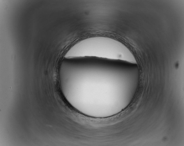 X0000100410039200806060935