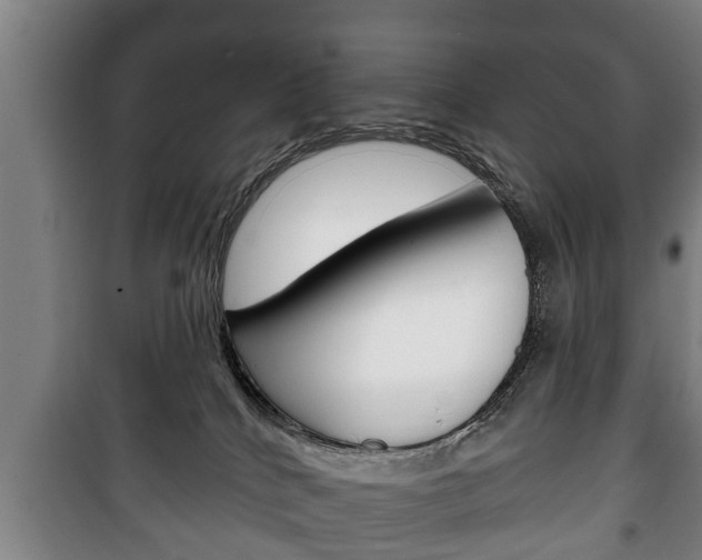 X0000100410040200806060935