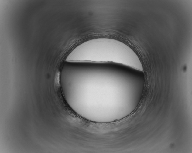X0000100410041200806060935