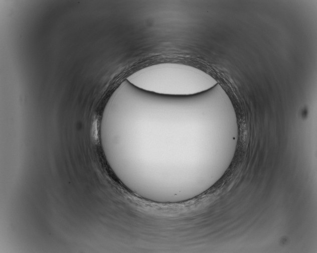 X0000100410042200806060935
