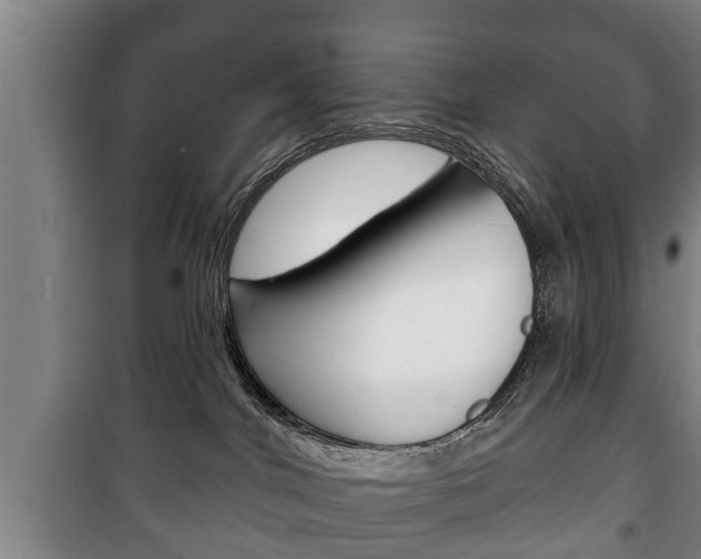 X0000100410044200806060935