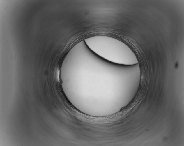 X0000100410046200806060935