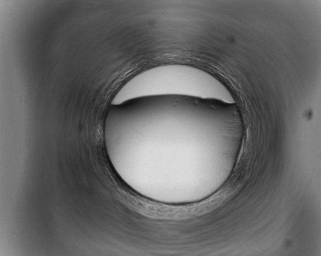 X0000100410048200806060935