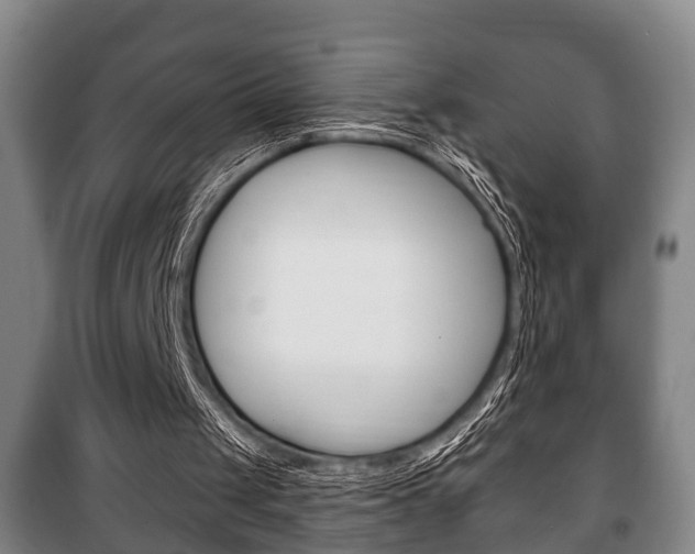 X0000100410049200806060934