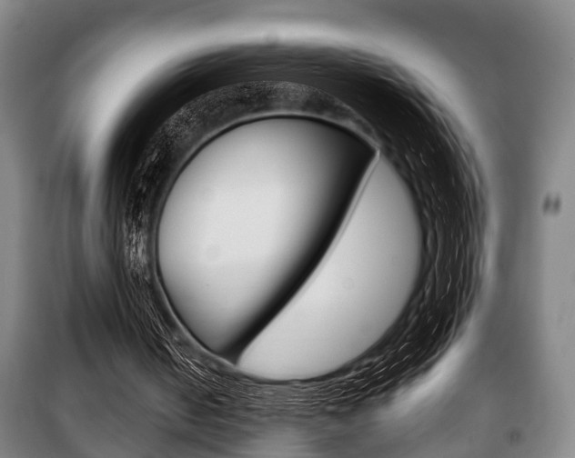 X0000100410050200806060934