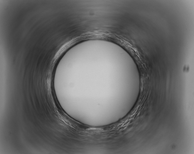 X0000100410051200806060934