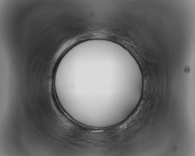 X0000100410054200806060934