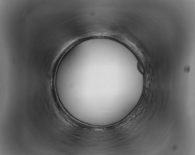 X0000100410060200806060934