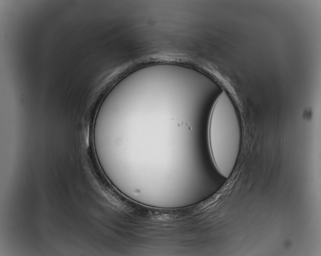 X0000100410062200806060934