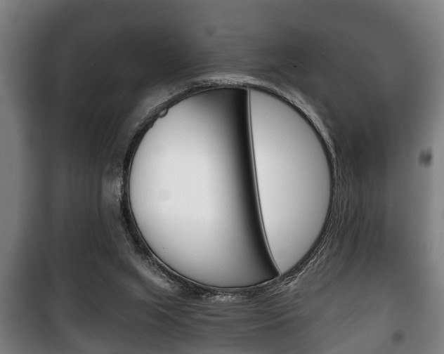 X0000100410063200806060934