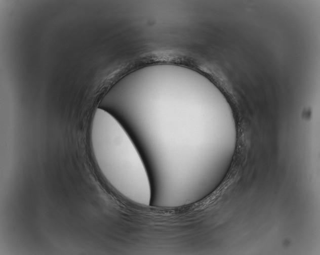 X0000100410066200806060934