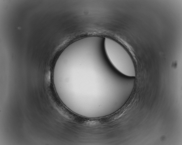 X0000100410067200806060935