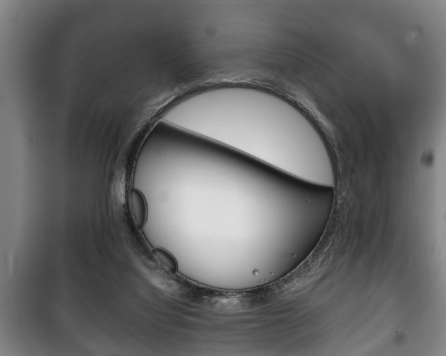 X0000100410068200806060935