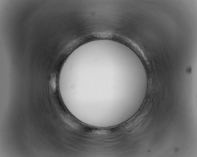 X0000100410069200806060935