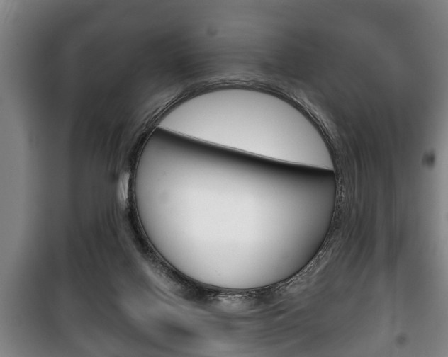 X0000100410070200806060935