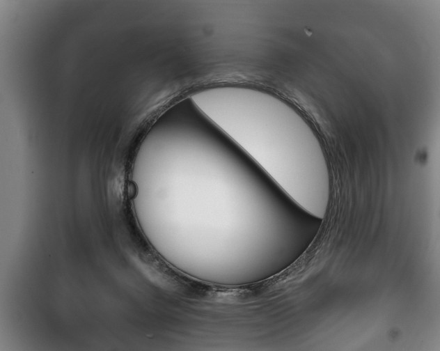 X0000100410072200806060935